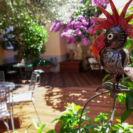 Πανσιόν Boutique Guest Zephyrus 4*