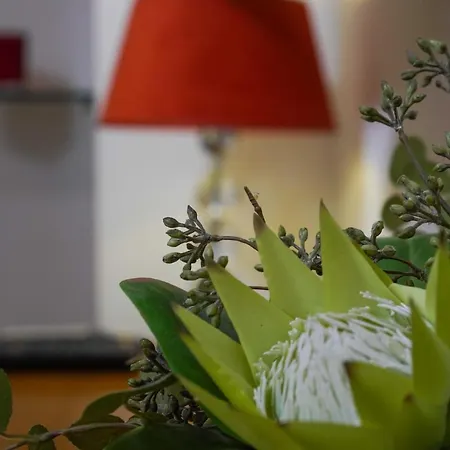 Boutique Guest Zephyrus Πανσιόν Σπλιτ