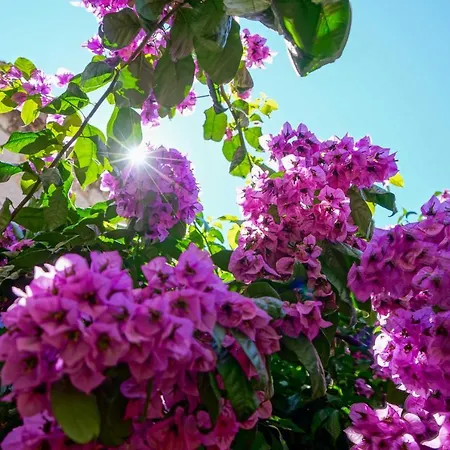 泽斐洛斯精品酒店