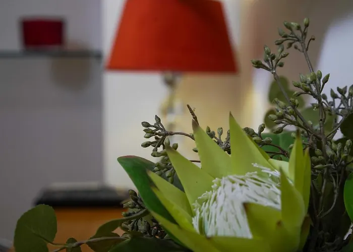 Boutique Guest Zephyrus بيت ضيافة سبليت