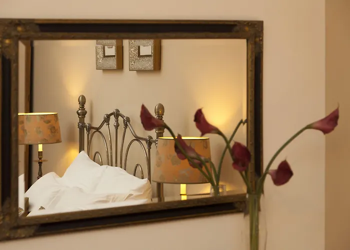 Boutique Guest Zephyrus