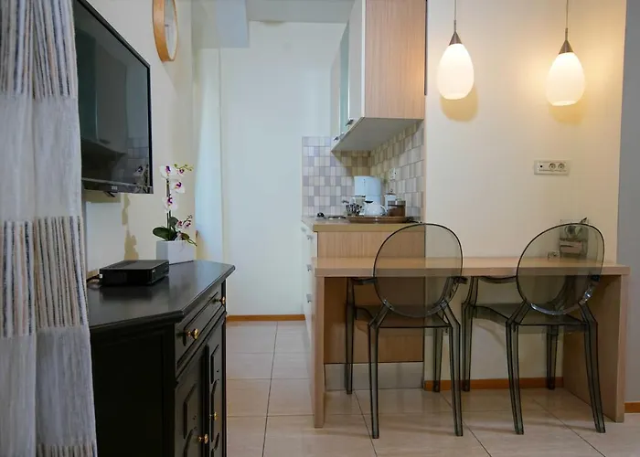 게스트하우스 부티크 게스트 어커머데이션 제피로스 4*